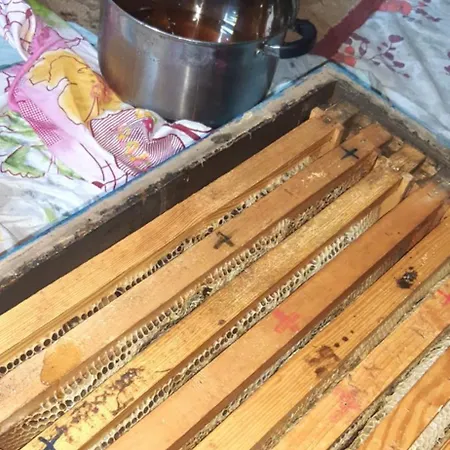 Wooden Karme * Koman