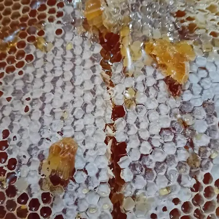Wooden Karme Koman